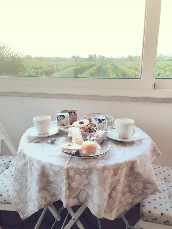 Villa Sofia Pramaggiore 외부 사진