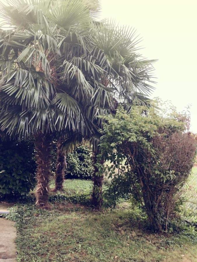 Villa Sofia Pramaggiore 외부 사진
