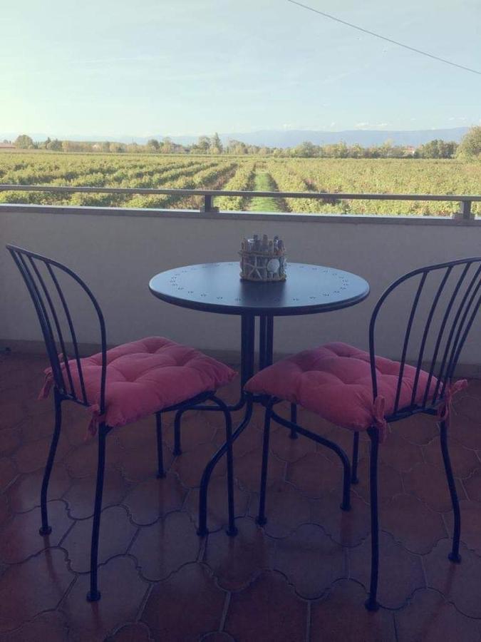 Villa Sofia Pramaggiore 외부 사진