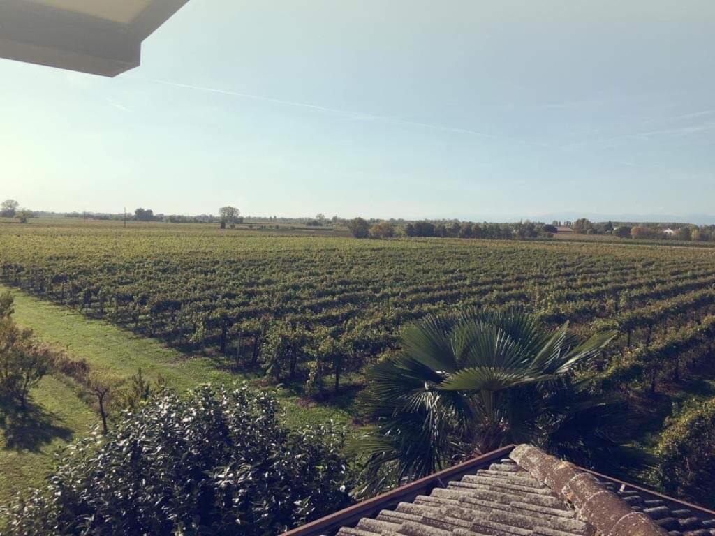 Villa Sofia Pramaggiore 외부 사진